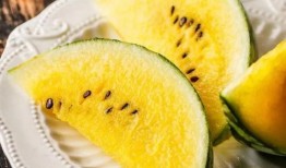 吃瓜30万网红,揭秘网络红人的崛起之路